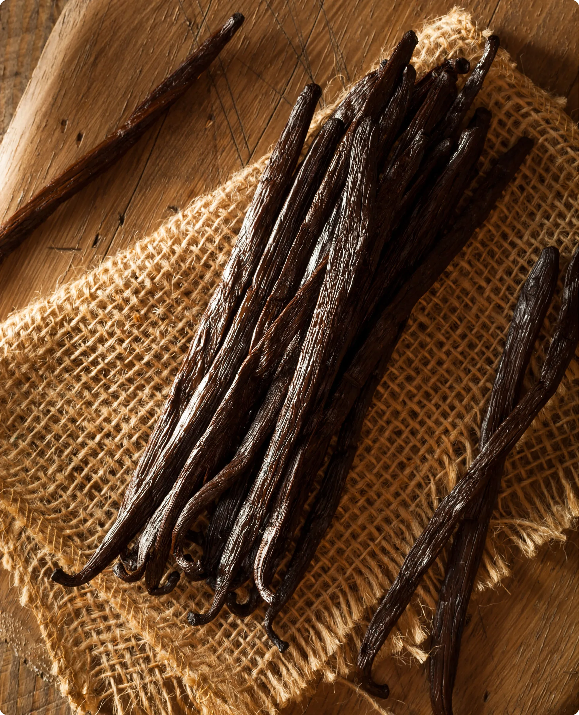 Grand Vanilla Indonesia Premium Curing