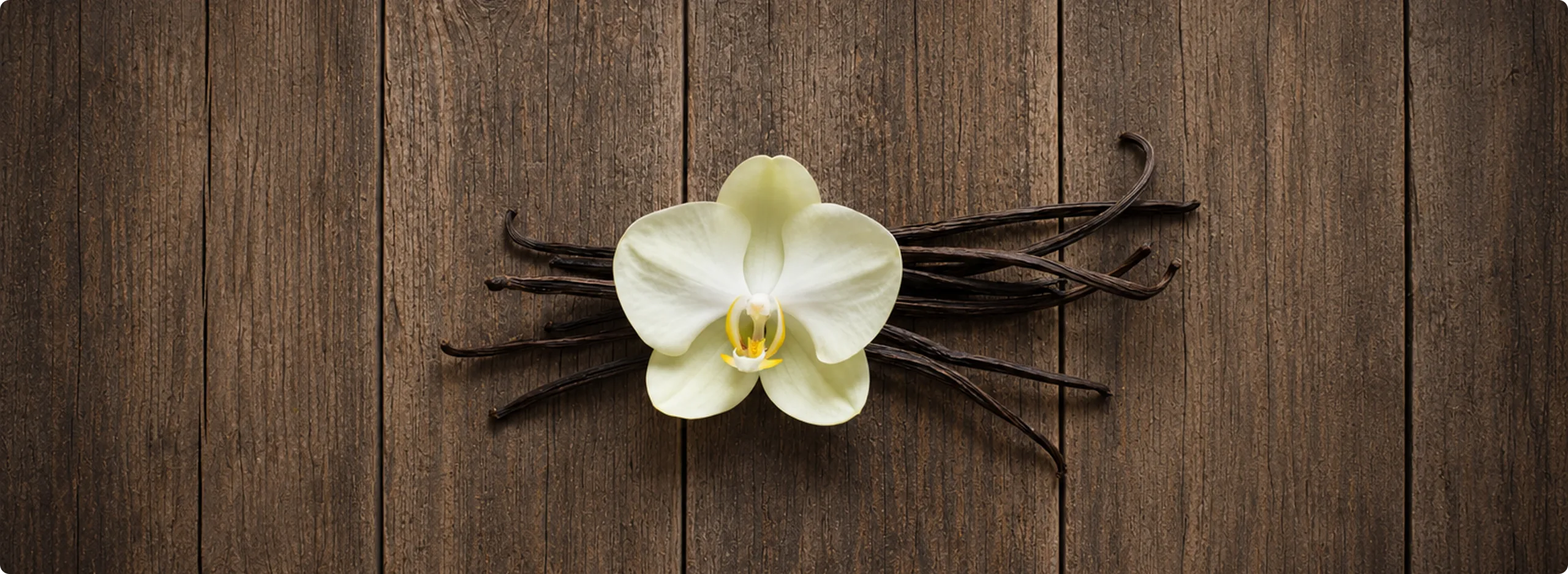 Vanilla Planifolia Gourmet Beans - Image 1