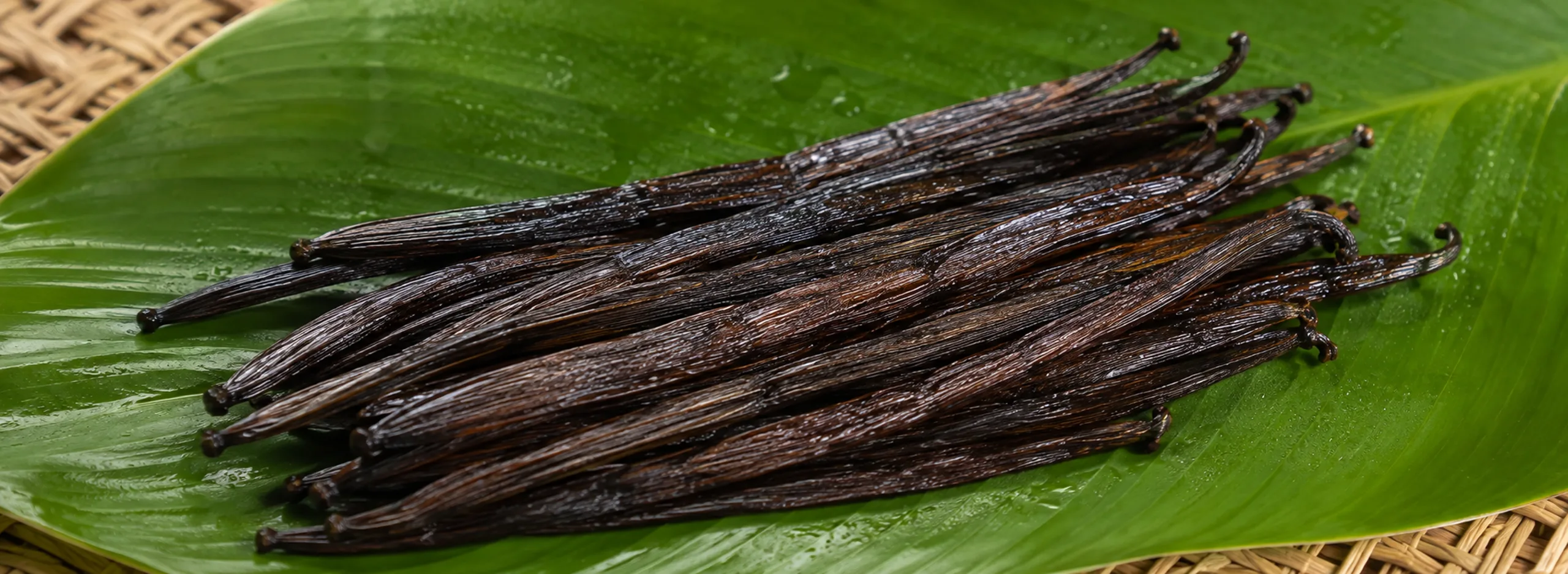 Vanilla Tahitensis Gourmet Beans - Image 1